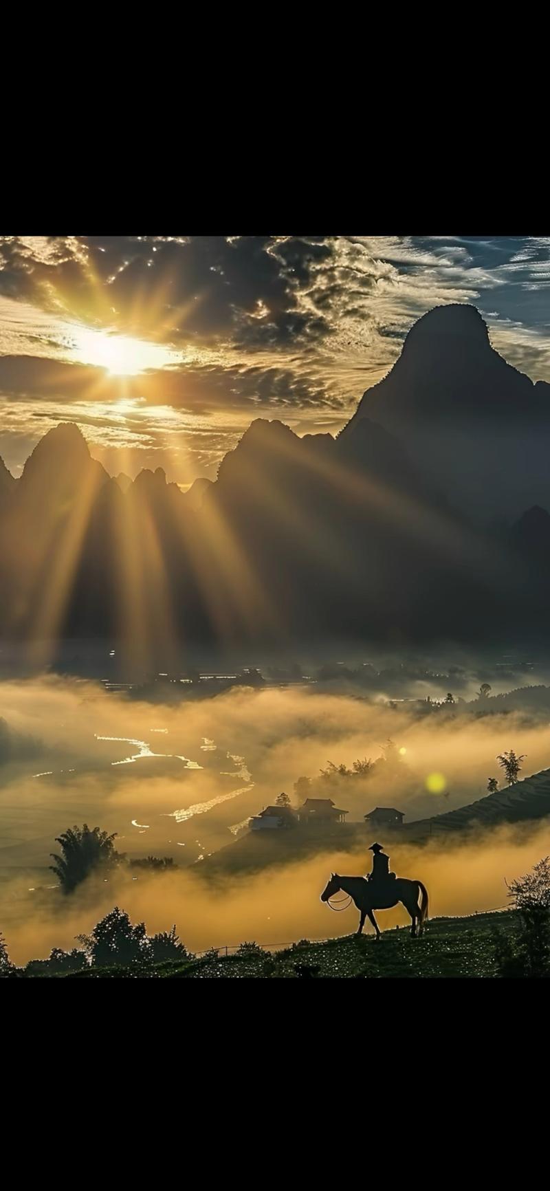 聊城站群网站建设